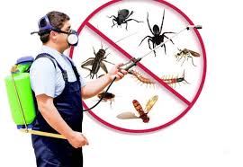 Pest control services- indl